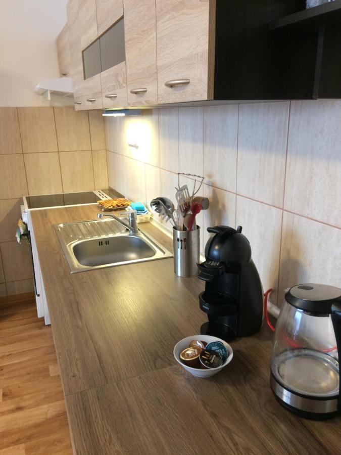 Apartman Petra Horní Planá 外观 照片