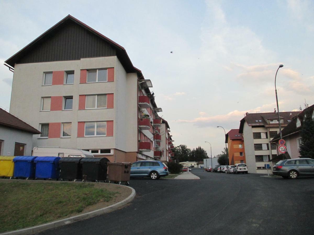 Apartman Petra Horní Planá 外观 照片